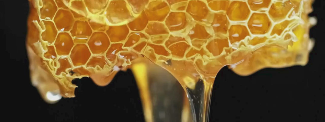Honey Comb dripping Honey - Wild Hive Hot Honey 